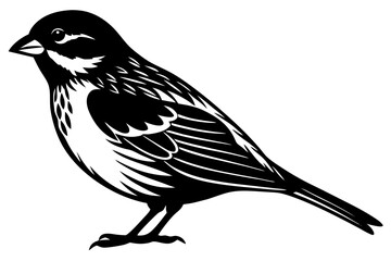 silhouette of a bird