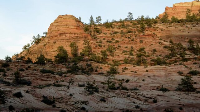 Golden sunlight illuminates the towering cliffs of Zion National Park during sunset, highlighting the natural beauty of the rugged landscape in Utah's wilderness.