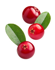 Fresh cranberries falling on transparent background