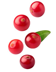 Fresh cranberries falling on transparent background