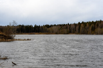 Forest lake in spring, light breeze. Wooded banks with green spruce and deciduous trees, on which multi-colored buds open. Cloudy sky and diffused sunlight backlight