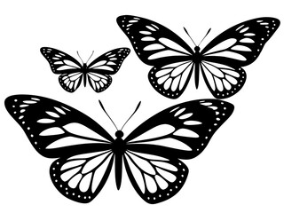 butterflys vector illustration