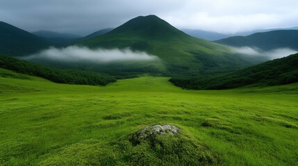Lush green valley nestled amongst misty mountains