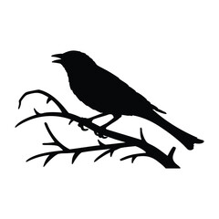 Fototapeta premium Finch bird silhouette vector art style black