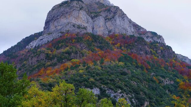 Autumn colours in the forests of the Hecho Valley. La Jacetania region. Huesca. Aragon. Spain. Europe.