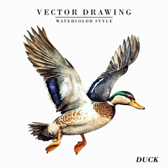 Vintage Watercolor Duck Bird Vector Illustration Isolated