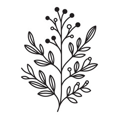 Black and white rose flower coloring page. Hand-drawn flowers patterns.