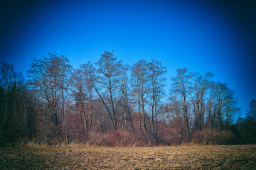 Landscape by the Lenaelva River by Lena, Toten, Norway, April 2025.