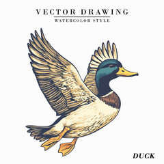 Vintage Watercolor Duck Bird Vector Illustration Isolated