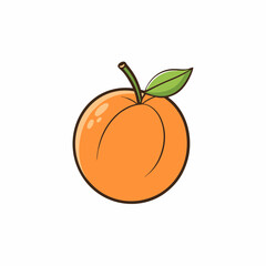 orange isolated on white background