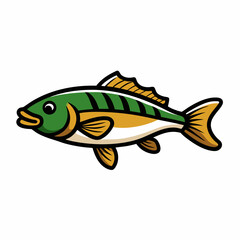 fish on a white background