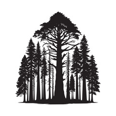Elegant Vector Silhouette of Redwood Tree: Nature’s Majestic Beauty in Detailed Graphic Design - Redwood tree vector - Redwood tree illustration.