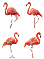 Obraz premium Vibrant Pink Flamingo Silhouette
