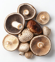 various types of shiitake, lion's mane, and reishi mushrooms on a white background, isolated