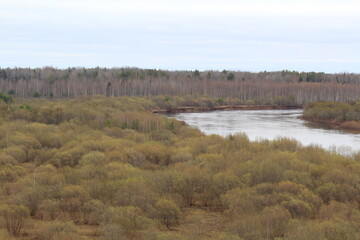 river flood in spring forest