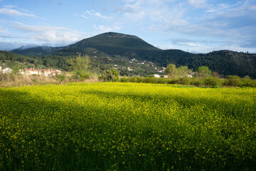 mountain landscape with green grass and blue sky