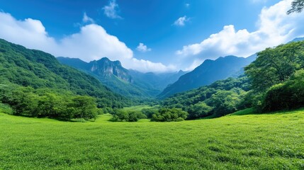 A vibrant green pasture stretches out, framed by lush green mountains under a bright blue sky. The mountains rise majestically in the background, partially obscured by fluffy white clouds. The image