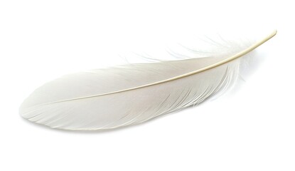 Obraz premium A single white feather floating in mid-air against a pure white background, soft lighting accentuating delicate curves and wispy texture, minimalist elegance.
