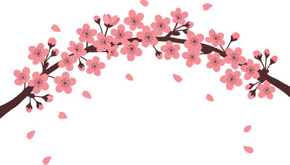 Naklejka premium cherry blossom branch arching across top border on white background, japanese floral vector