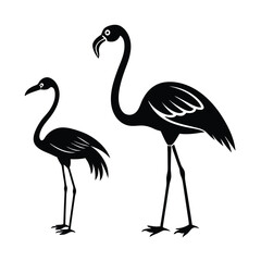 Fototapeta premium Exotic birds flamingo isolated Isolated Black Vector Silhouette Illustration With White Background