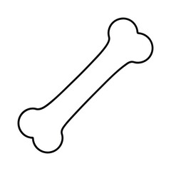 bone shaped dog bone