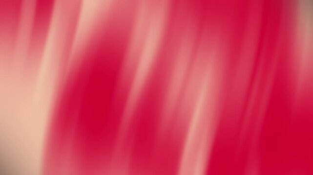 Abstract red and black wave pattern with smooth curves and fluid motion for modern design projects,red texture montion background, Dark red motion gradient background,