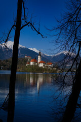 church in a tree frame at lake bled