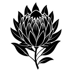 Protea Flower Silhouette Vector SVG – Elegant Botanical Bloom Design
