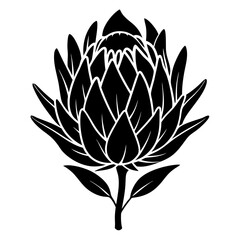 Protea Flower Silhouette Vector SVG – Elegant Botanical Bloom Design