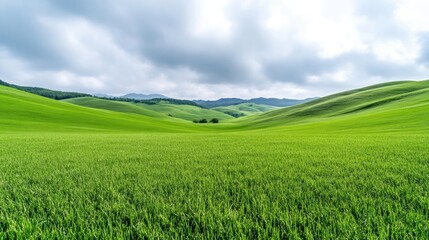 Rolling green hills stretch to the horizon under a cloudy sky. The foreground features a vast field of vibrant green grass. The image is high-resolution with natural lighting. It evokes a peaceful,