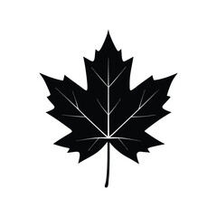 maple leaves silhouette art