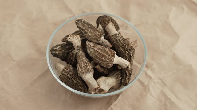 Dried delicacy morel mushrooms in bowl on craft paper. Background video of valuable mushrooms for gourmet dishes before cooking after harvesting.
