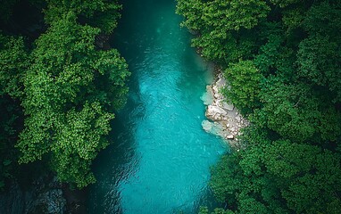 Aerial turquoise river lush green vegetation