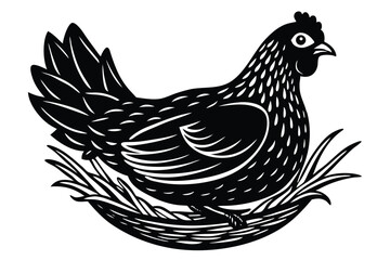 Vintage Hen Nesting – Woodcut Engraving Style Vector Illustration

