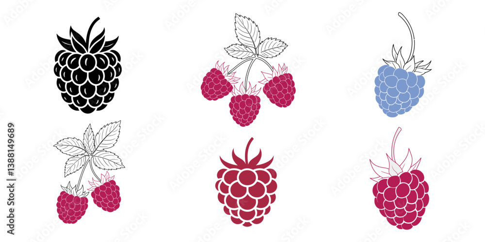Poster raspberry fruit silhouette vector illustration, raspberry outline vector | hand-drawn berry silhouet