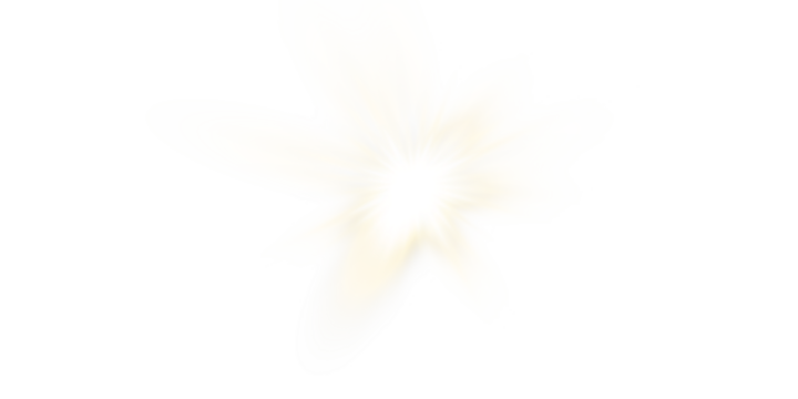 Vector transparent sunlight with sun glare. Overlay, Sun rays and glare, Sun, sunrays, light transitions, lens flare, light leaks and glare in PNG format. PNG sunlight flare. Golden flash and glare.