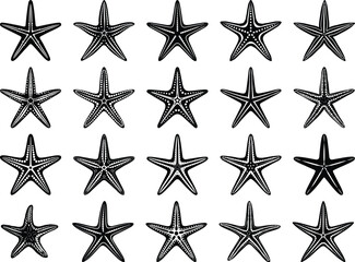 Fototapeta premium Starfish Icon