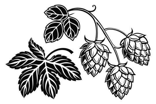 Vintage Woodcut Beer Hops Illustration &ndash; Hand-Drawn Engraving Style Vector Art