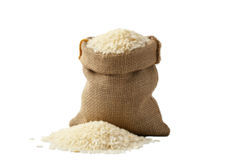 floating burlap sack overflowing with grains of rice spilled on  a solid white background