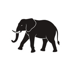 Fototapeta premium Elephant Walking Silhouette