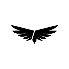 Obraz premium Airplane Wing Travel Silhouette