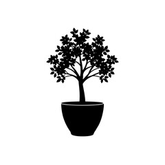 Obraz premium Indoor Plant Pot Tree Silhouette