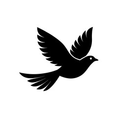 Fototapeta premium silhouette of dove