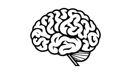 Black and White Abstract Drawing of a Human Brain Outline, Abstract illustration of a human brain depicted in black ink on a white background