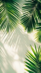 Obraz premium Lush green palm leaves casting vibrant shadows.