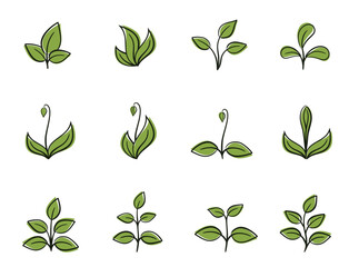 Green spring plant set. Floral, planting and nature design elements. Isolated vector images