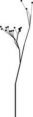 Vector drawing of tree tops and branches with a mix of thick and thin lines and fruit details.