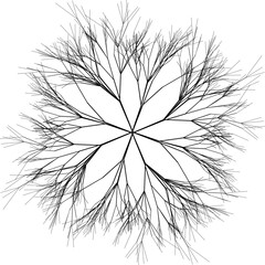 Graphic vector of an underground tree root structure arranged in a symmetrical mandala-like pattern.