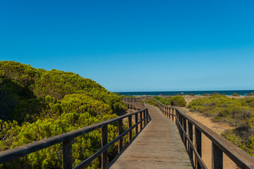 pasarela de madera a playa virgen en elche playa carabasi 2025 Wooden walkway to the virgin beach...
