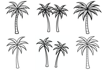 set of palm trees, palm tree
